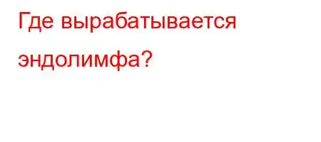 Где вырабатывается эндолимфа?